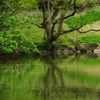 鎌倉中央公園 2016 4/10 DSC08488