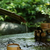  寒川神社 神嶽山神苑 2016 5/15 DSC08560