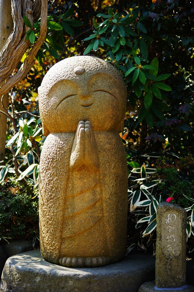 素敵な一日になりますように…
