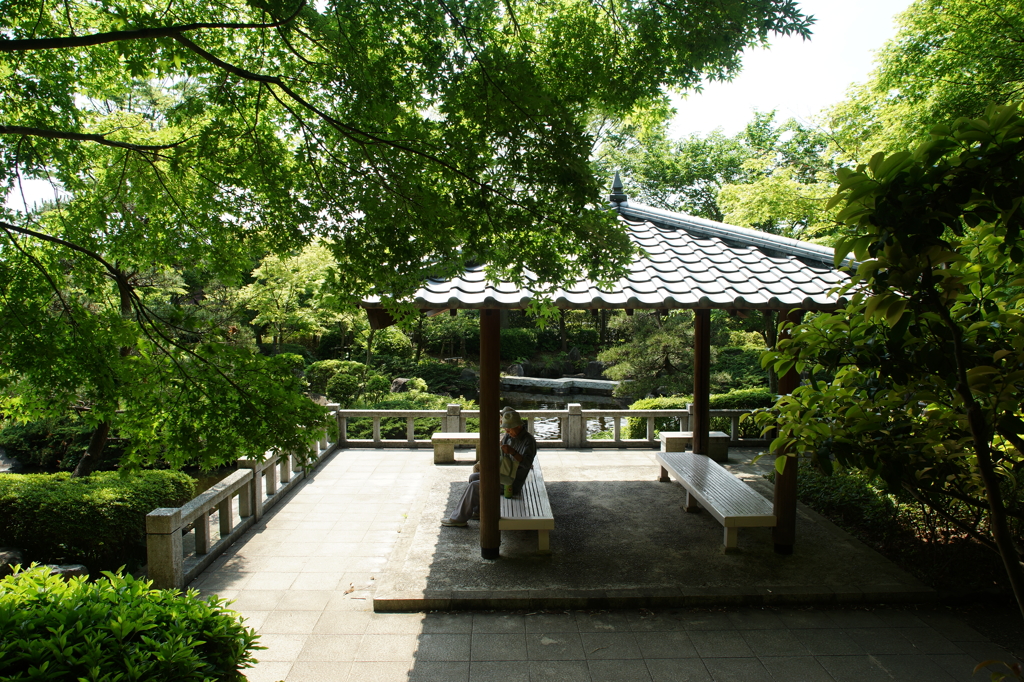 大磯城山公園 2016 5/15 DSC02420