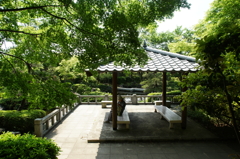 大磯城山公園 2016 5/15 DSC02420