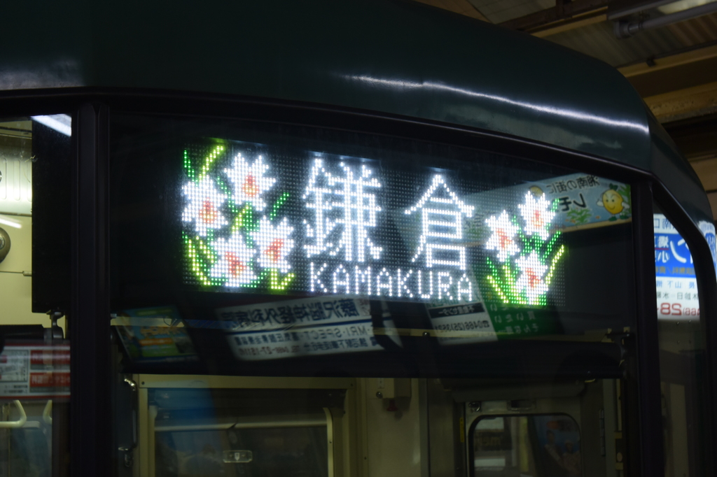 江ノ電 水仙ヴァージョン DSC_2226