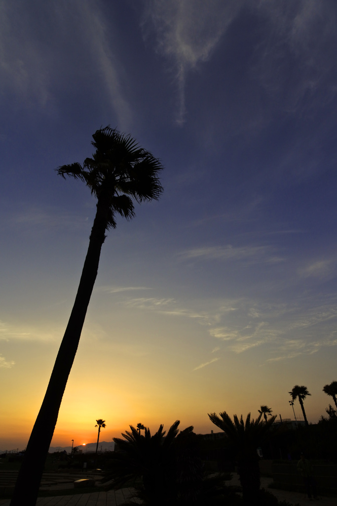 湘南 初夏のサンセット ⑦