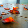 雨上がり、霧晴れて... ④