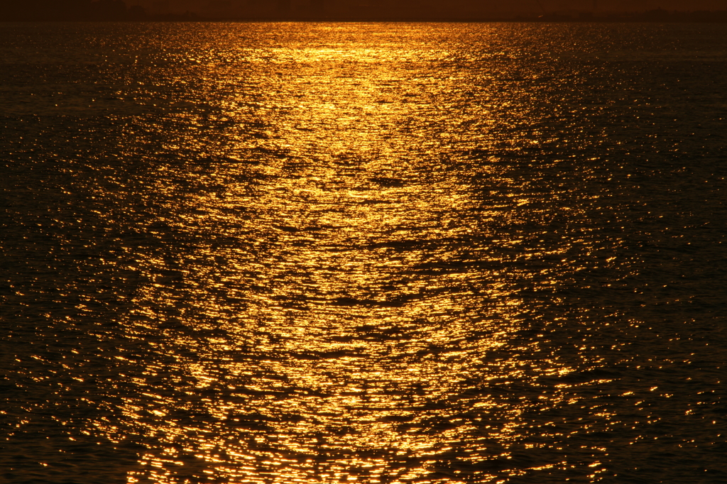 黄昏時の黄金色 森戸海岸にて 7/10 DSC02003