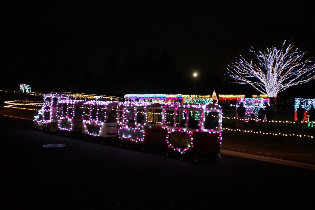 国営昭和記念公園 Winter Vista Illumination 2015 