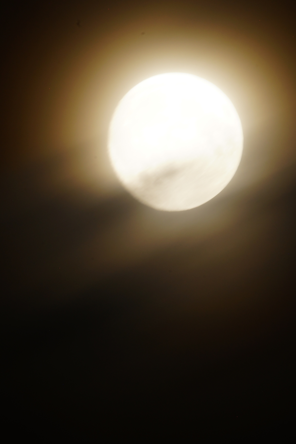 中秋の名月 2016 9/15 DSC00406