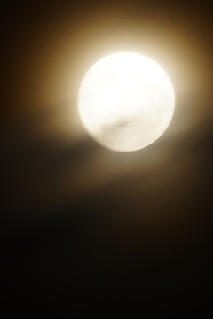 中秋の名月 2016 9/15 DSC00406