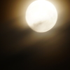 中秋の名月 2016 9/15 DSC00406