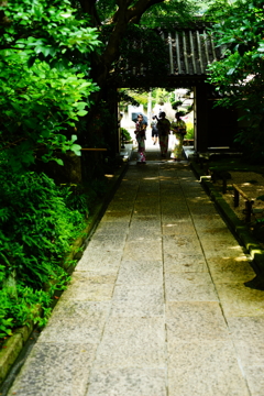 報国寺 境内 2016 8/20 DSC07828