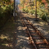 箱根美術館 ぶら散歩 2015 11/21 DSC02064