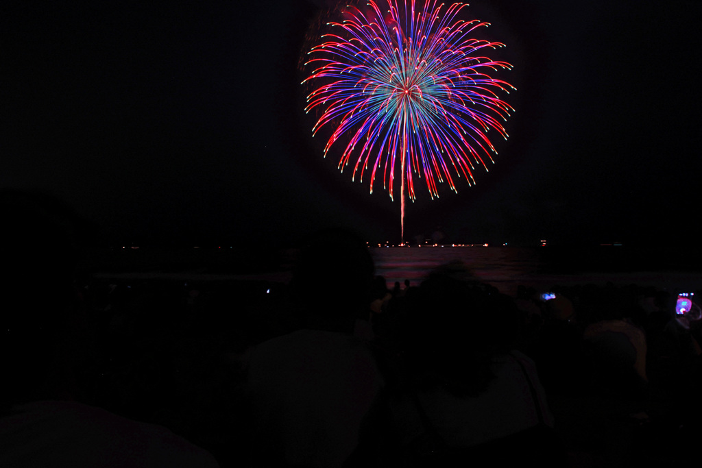 鎌倉 由比の浜辺で華愛でる ②