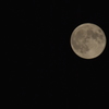 スーパームーン 9/28 DSC_1943