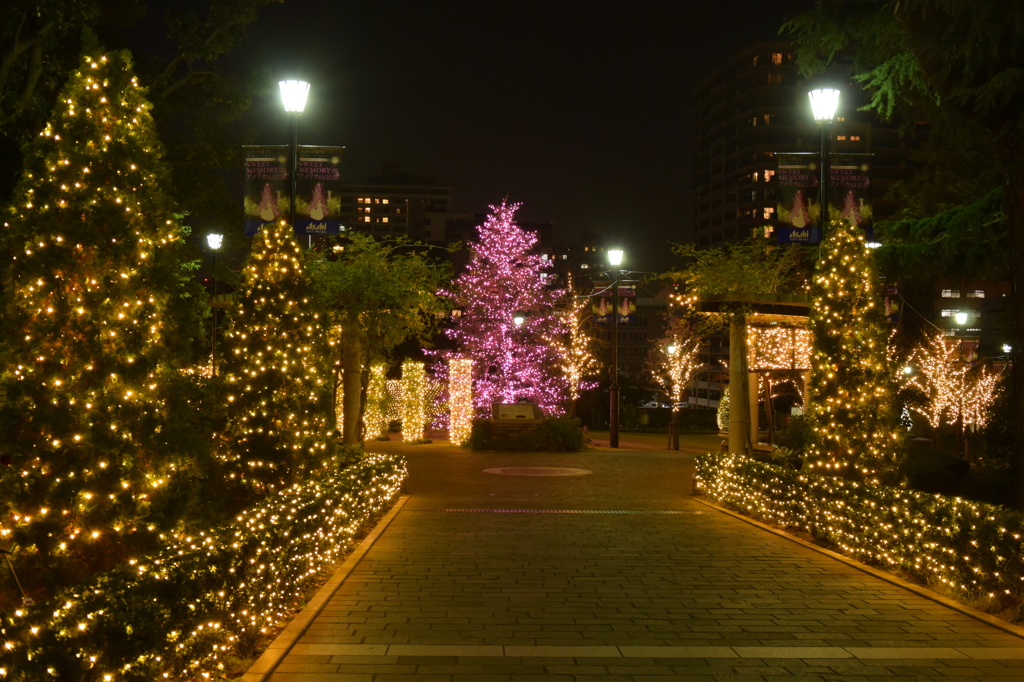 アメリカ山公園 イルミネーション 15 11 30 Dsc By ジュン兄 Id 写真共有サイト Photohito