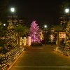 アメリカ山公園 イルミネーション 2015 11/30 DSC_2088