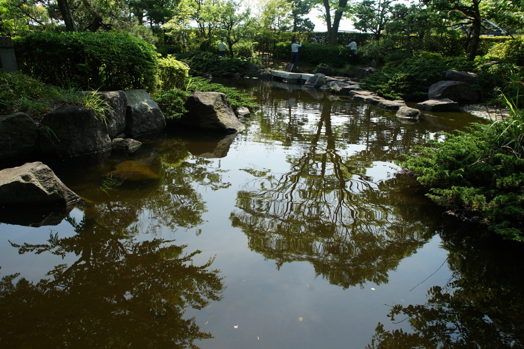 大磯城山公園 2016 5/15 DSC02448