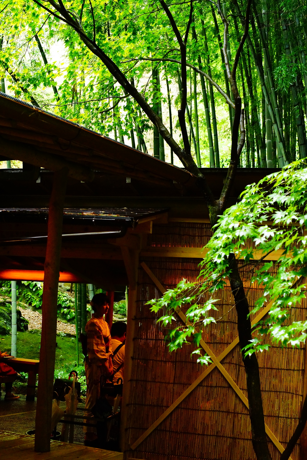 雨宿り中 報国寺 竹の庭  2016 8/20 DSC07969