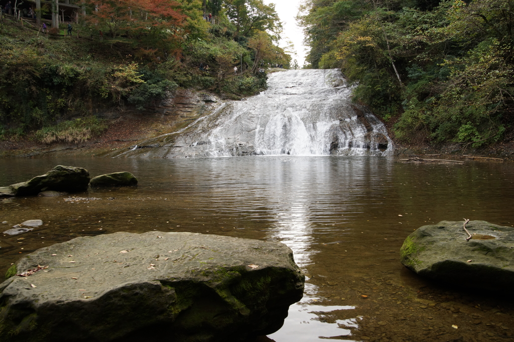 養老渓谷 粟又の滝 ぶら散歩 2015 11/22 DSC02259