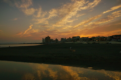 ほとんど真夏だった日の夕景 2016 6/18 DSC09073