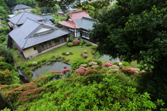 ぶらっと笛田 仏行寺 2016 4/28 DSC_0429