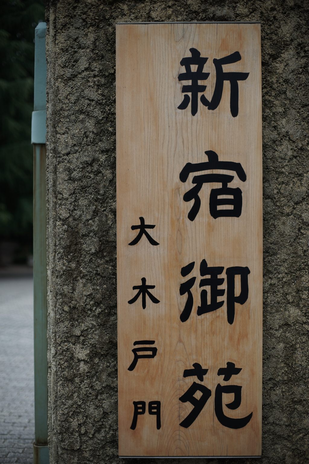 いざ、お散歩 2016 3/12 DSC06715