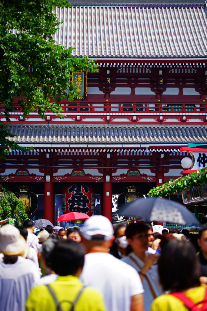 浅草寺～鬼灯市散策 ⑫
