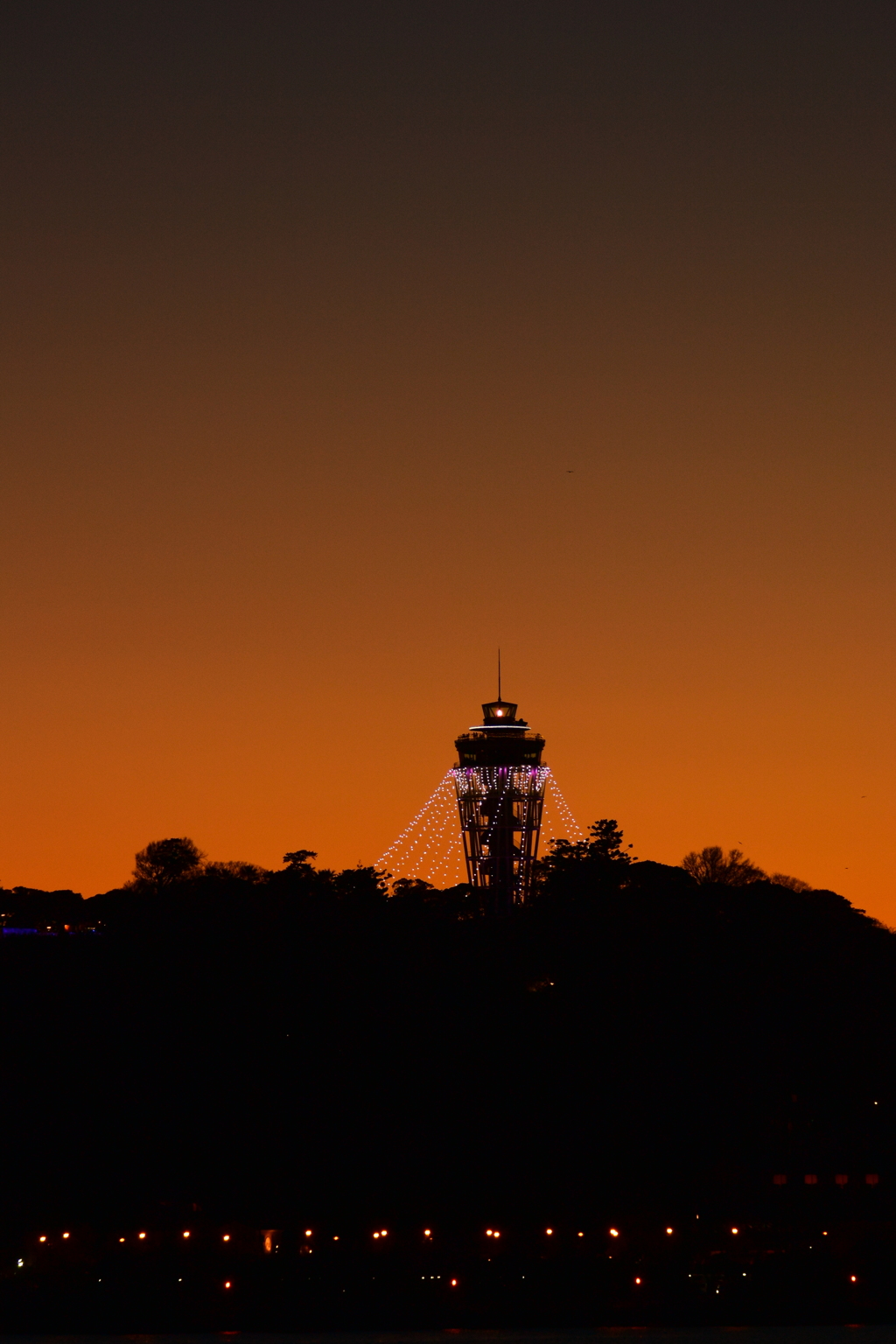シルエット 2016 1/20 DSC_2105
