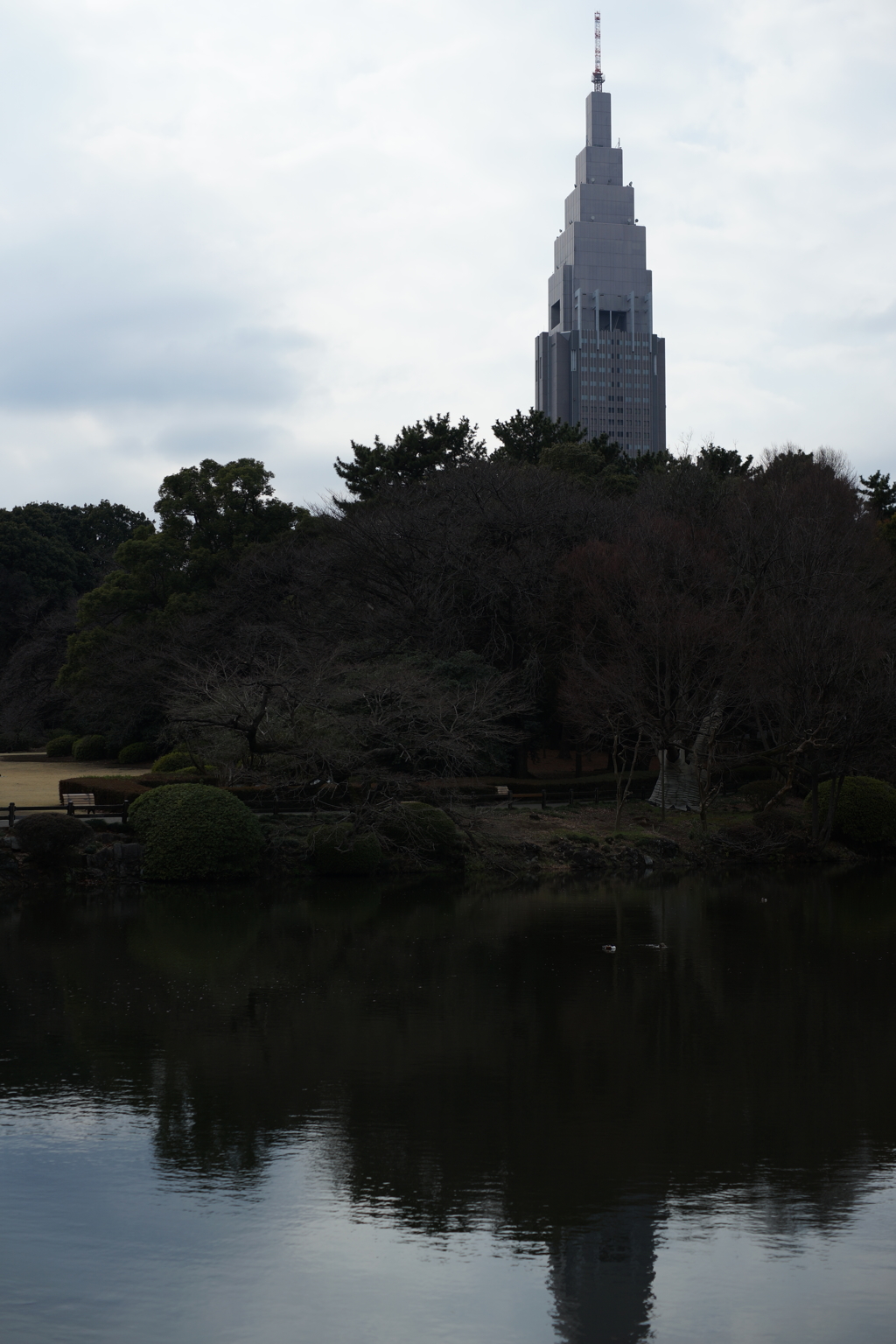 NTTドコモ代々木ビル 新宿御苑 2016 3/12 DSC06859