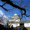 小田原城 天守閣登城