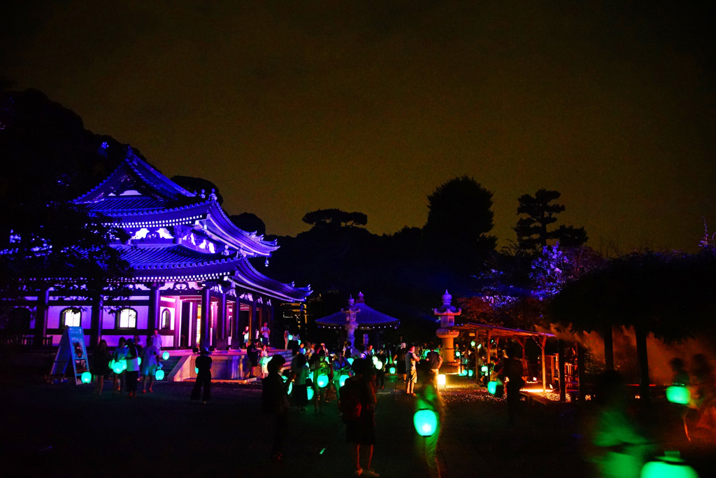 かまくら 長谷の灯かり ～長谷寺～⑤