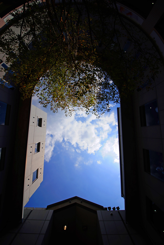 秋の青い空～小町通り～①