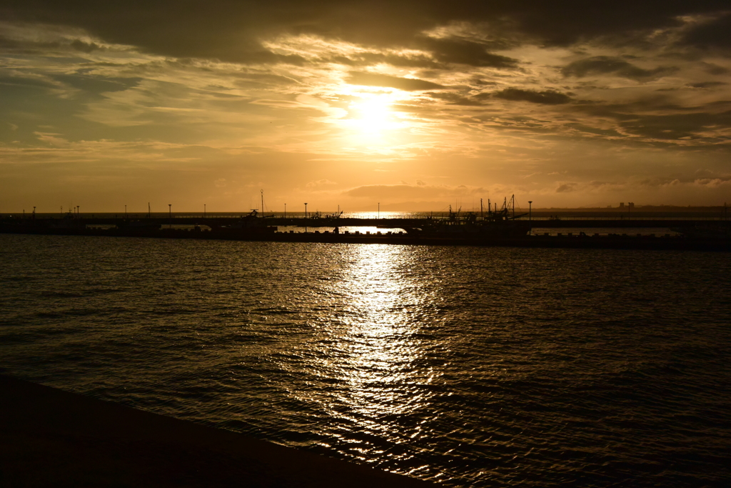 生憎の空模様… DSC_2985