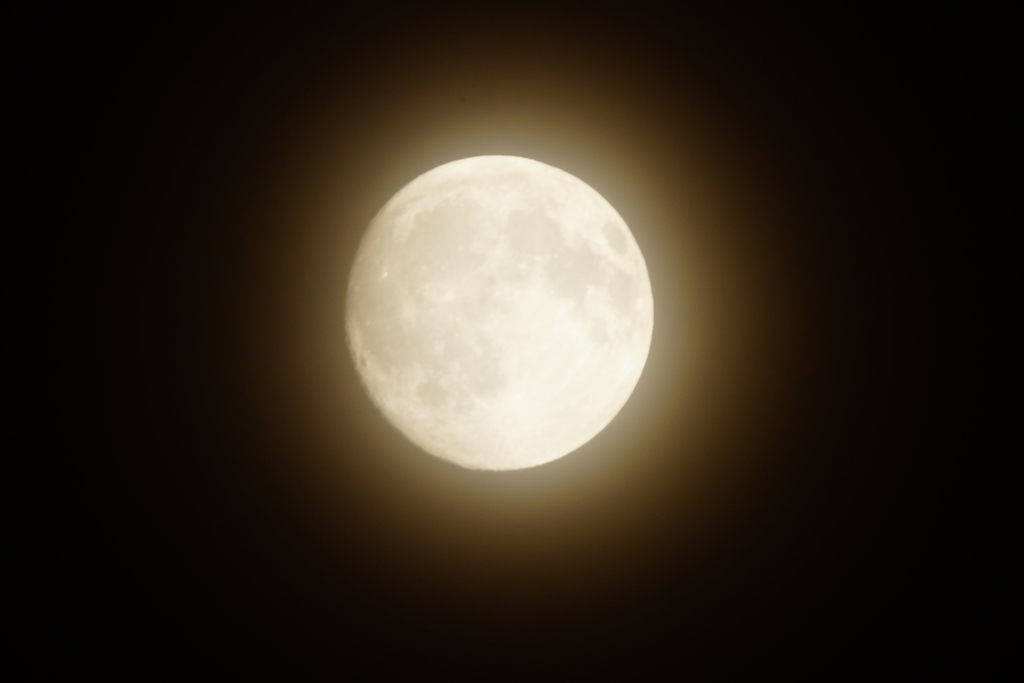 中秋の名月 2016 9/15 DSC00397