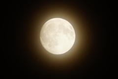 中秋の名月 2016 9/15 DSC00397