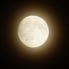 中秋の名月 2016 9/15 DSC00397