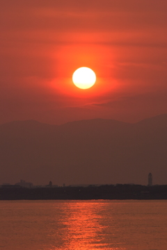 早くも真夏日 2016 5/23 DSC_2607