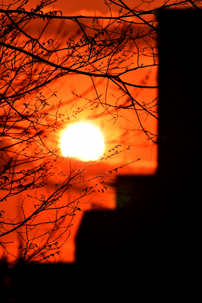 街中から見送る春の夕陽 ②