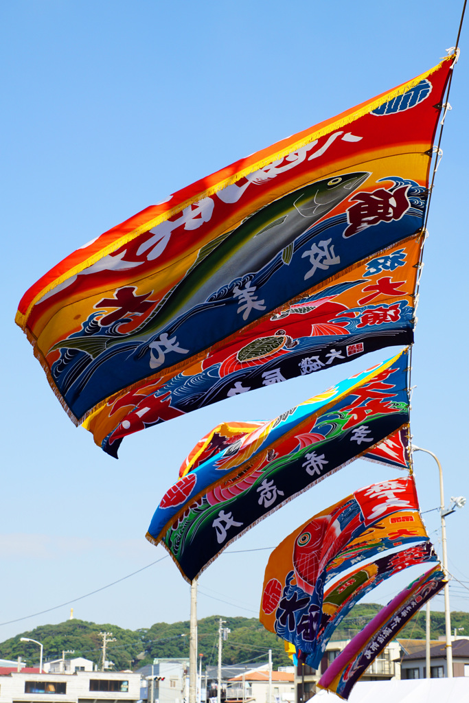 空に泳ぐ大漁旗