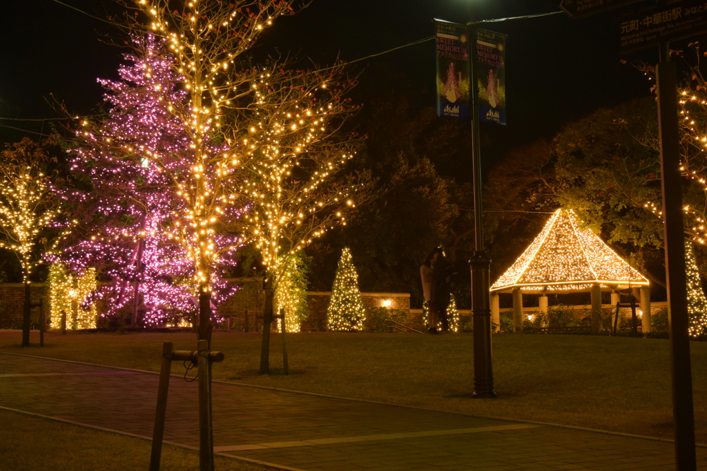 アメリカ山公園 イルミネーション 2015 11/30 DSC_2094