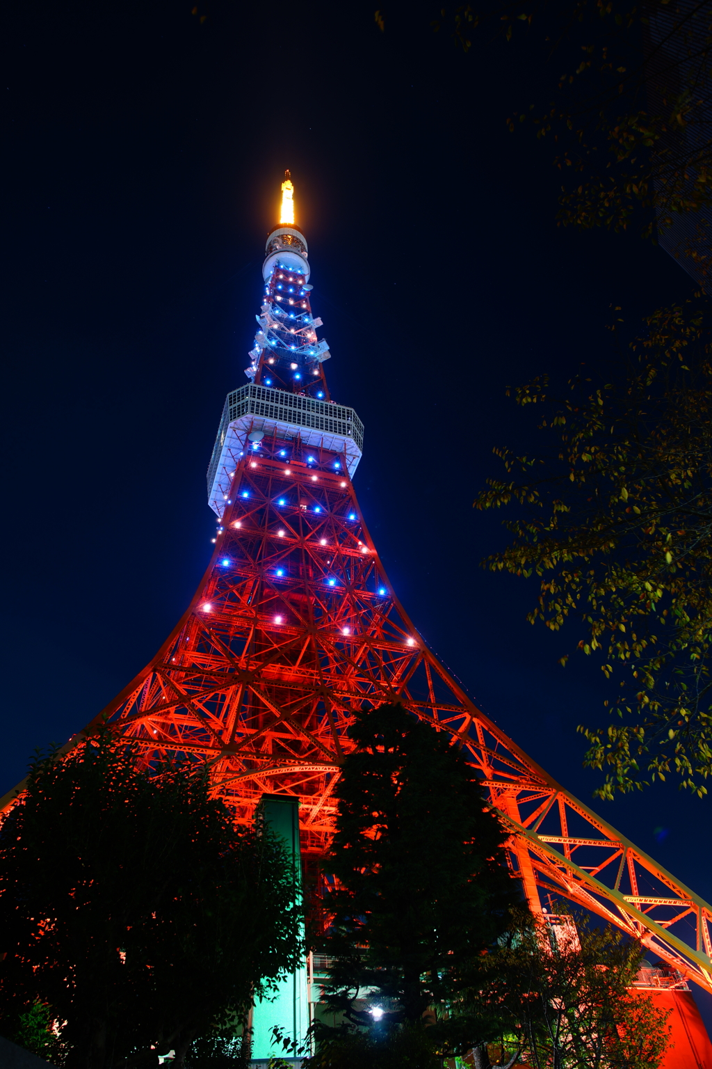 オレンジとブルーのイルミネーション～東京タワー～③