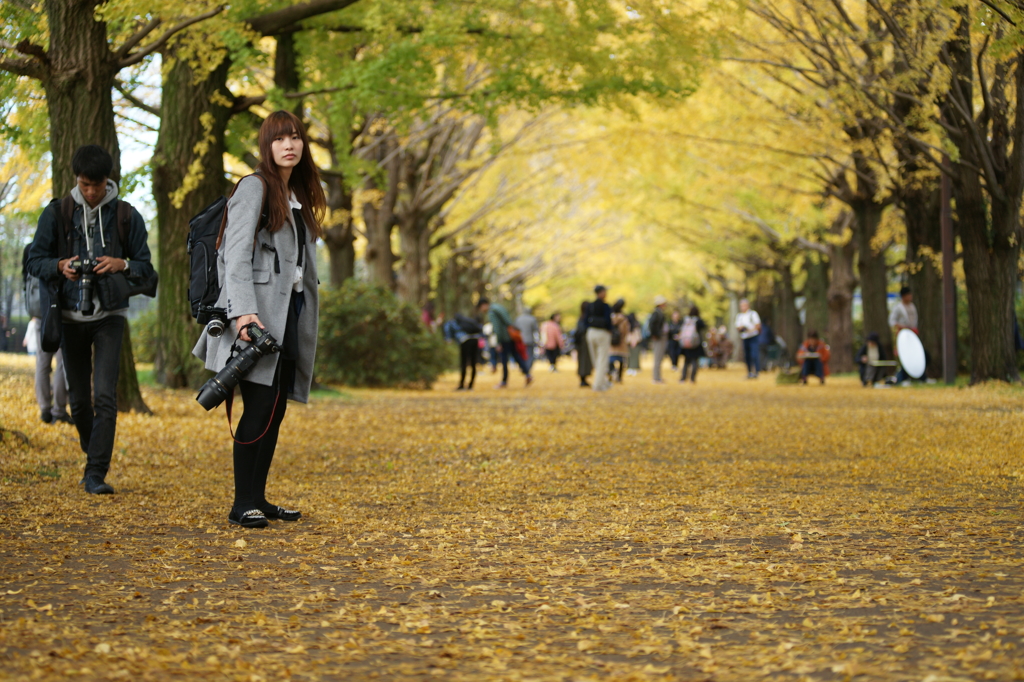 黄葉・紅葉 ぶら散歩 国営昭和記念公園 2015 11/15DSC00622