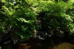 寒川神社 神嶽山神苑 2016 5/15 DSC02141