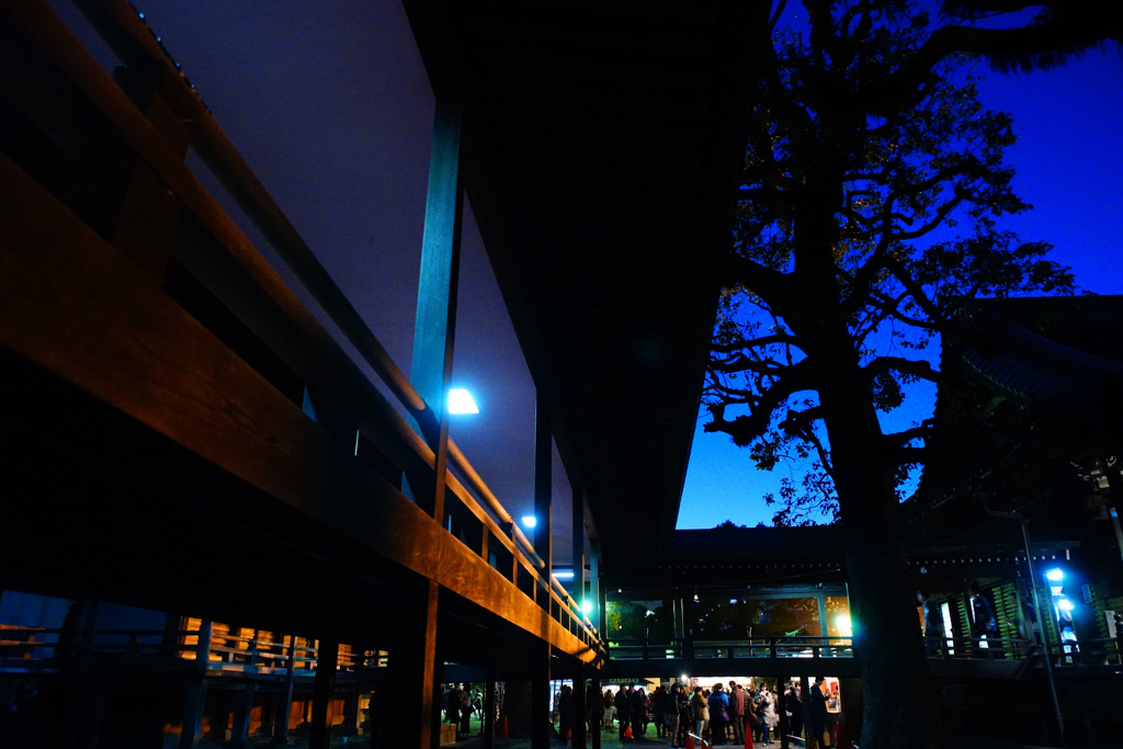 柴又帝釈天の夜…②