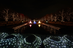 国営昭和記念公園 Winter Vista Illumination 2015 