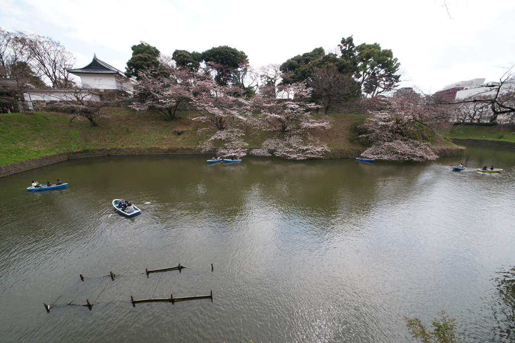 千鳥ヶ淵 2016 3/27 DSC04227