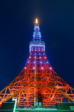 オレンジとブルーのイルミネーション～東京タワー～①