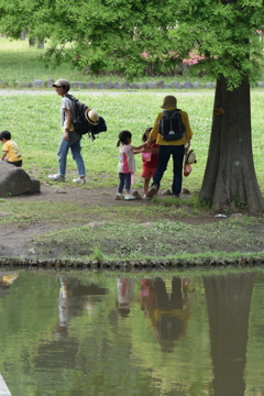 ちょっぴり新林公園 2016 6/1 DSC_2729