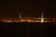プリンセスに会えず傷心の横浜夜景 2016 4/25 DSC_2544