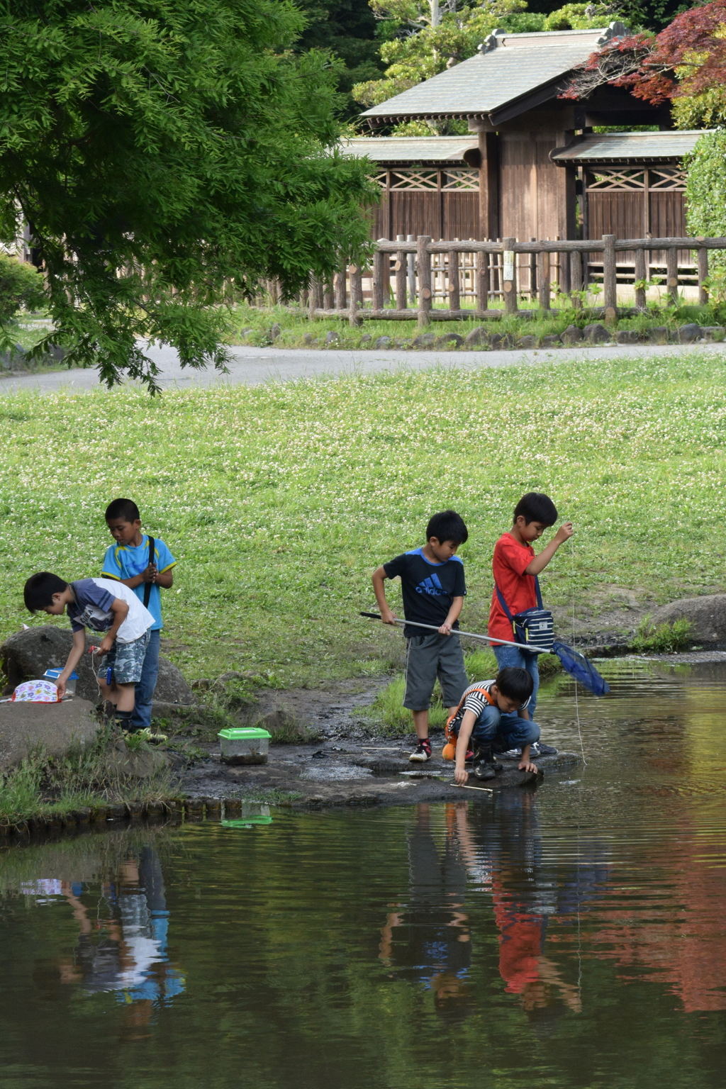 ちょっぴり新林公園 2016 6/1 DSC_2728