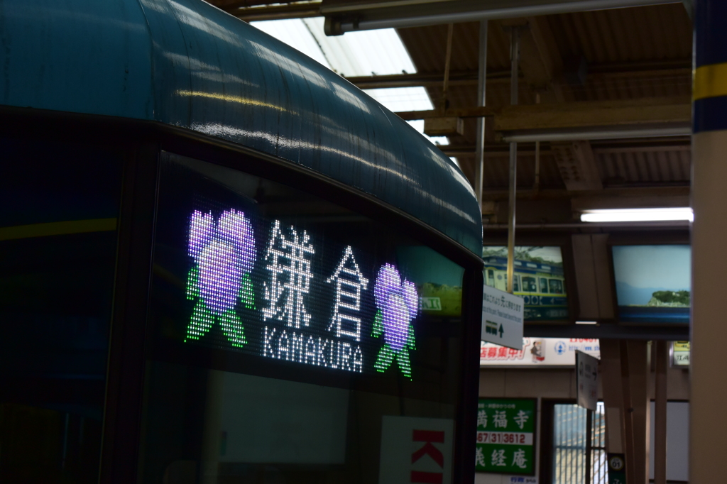 江ノ電 紫陽花ヴァージョン 2016 5/19 DSC_2851